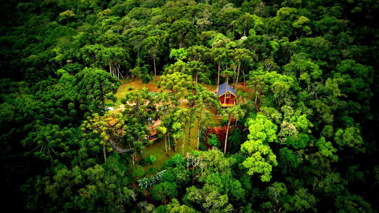 Pousada Paraiso Das Araucarias Hotel Monte Verde  Exterior foto