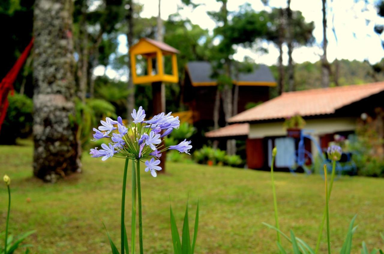 Pousada Paraiso Das Araucarias Hotel Monte Verde  Exterior foto