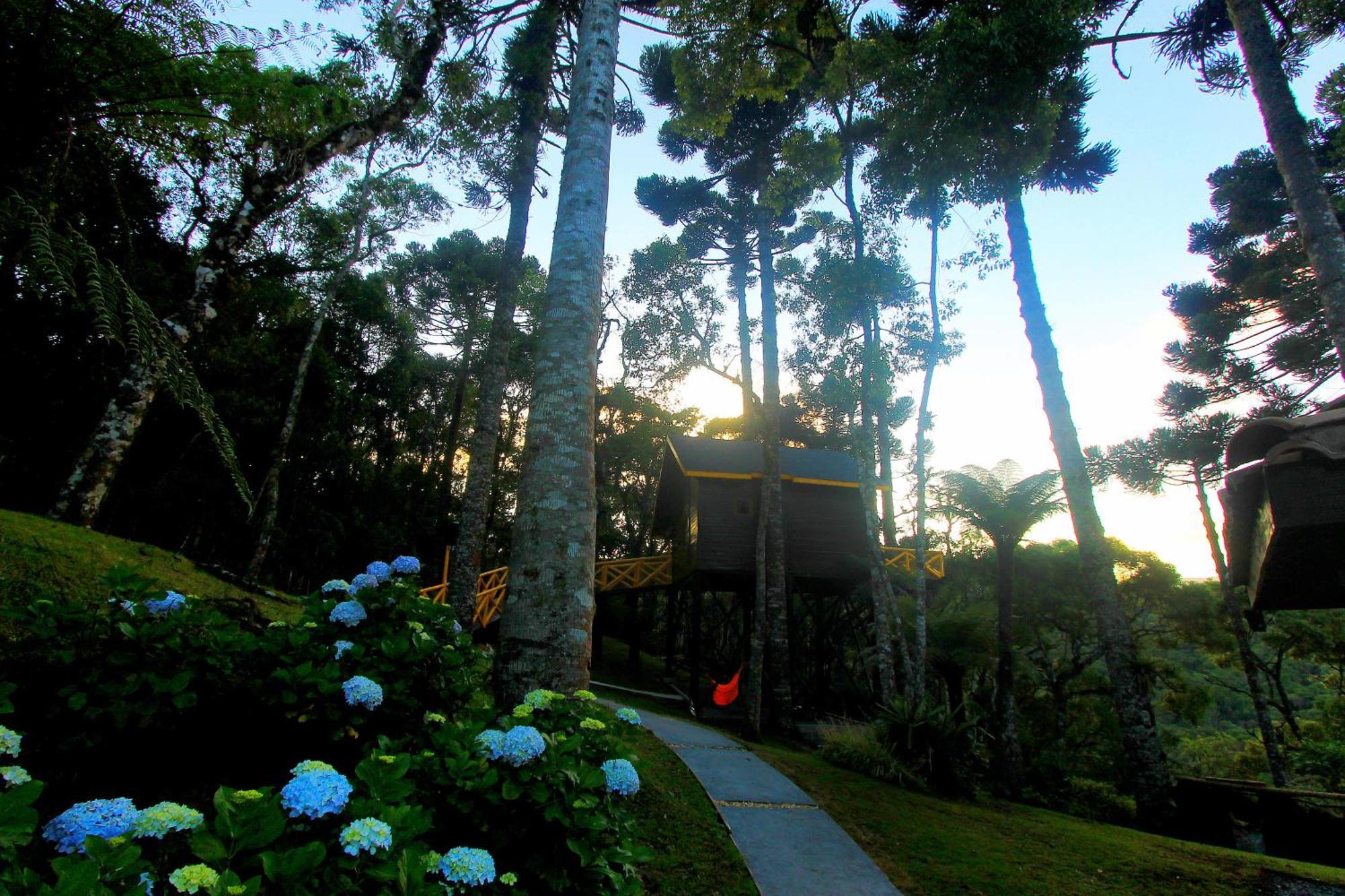 Pousada Paraiso Das Araucarias Hotel Monte Verde  Exterior foto